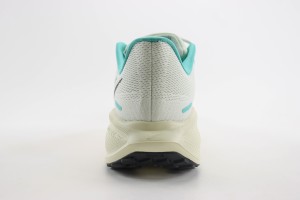  NikeK Air Zoom Pegasus 41 NAZP100036