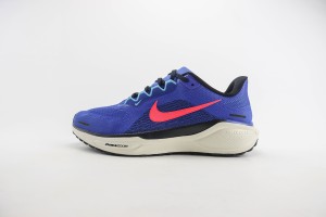 NikeK Air Zoom Pegasus 41 NAZP100046