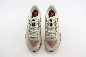 NikeK Air Zoom Pegasus 41 NAZP100048