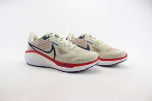 NikeK Air Zoom Pegasus 41 NAZP100048