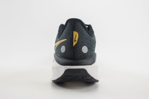  NikeK Air Zoom Pegasus 41 NAZP100056