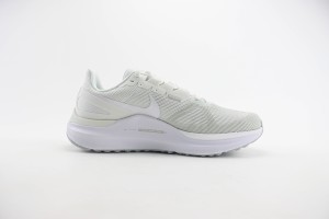 NikeK Air Zoom Pegasus 41 NAZP100063