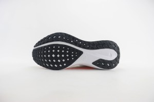 NikeK Air Zoom Pegasus 41 NAZP100066