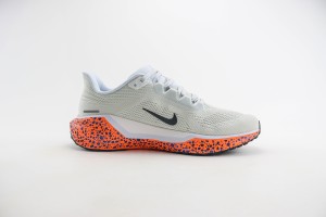  NikeK Air Zoom Pegasus 41 NAZP100068