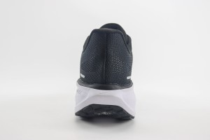  NikeK Air Zoom Pegasus 41 NAZP100075