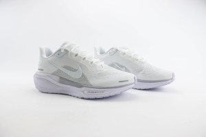 NikeK Air Zoom Pegasus 41 NAZP100076