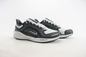 NikeK Air Zoom Pegasus 41 NAZP10009