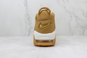  Nike Air Uptempo NAU100029