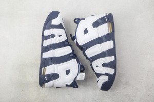 Nike Air Uptempo NAU100070