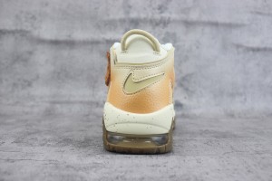 Nike Air Uptempo NAU10009