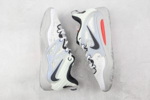 Nike Zoom KD NZKD00021