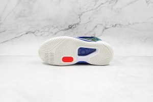 Nike Zoom KD NZKD00030