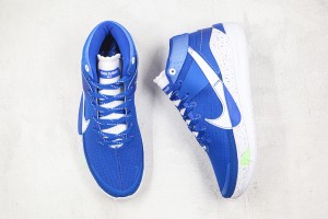 Nike Zoom KD NZKD00041