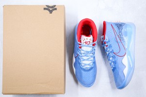 Nike Zoom KD NZKD00052
