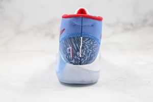 Nike Zoom KD NZKD00052