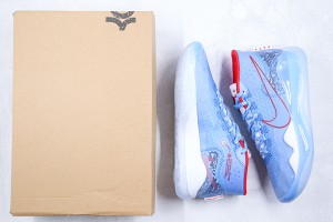 Nike Zoom KD NZKD00052