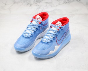 Nike Zoom KD NZKD00052