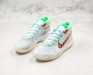 Nike Zoom KD NZKD00058