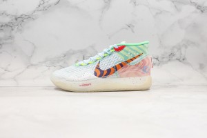 Nike Zoom KD NZKD00058