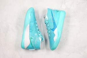 Nike Zoom KD NZKD00059