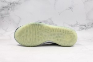 Nike Zoom KD NZKD00061
