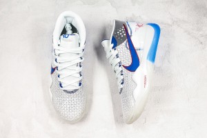 Nike Zoom KD NZKD00064