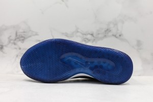 Nike Zoom KD NZKD00066