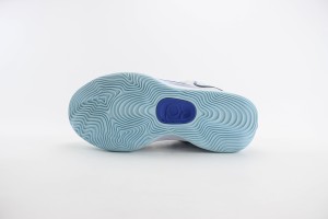 Nike Zoom KD NZKD0008