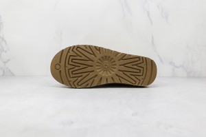UGG Shoes UGGS1000100
