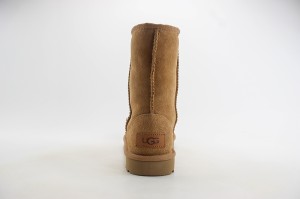 UGG Shoes UGGS100052