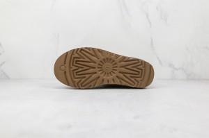 UGG Shoes UGGS100098